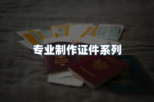 专业制作证件系列